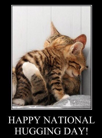 ChiaraT2's tweet photo. @PatrickPelloux Ah et 😘😘😘😘😘😘😘😘😘😘😘😘😘😘😘😘😉😽 #hugday #onestplusfortensemble https://t.co/D25nAhEdt2