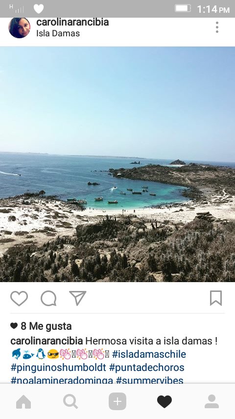 RyrTurismo's tweet photo. ISLA DAMAS - PUNTA DE CHOROS
SALIDAS TODOS LOS DÍAS @RyrTurismo @sernaturcoquimb @visita_coquimbo @PuntadeChoros #turismo #regiondecoquimbo https://t.co/coQje37dSs
