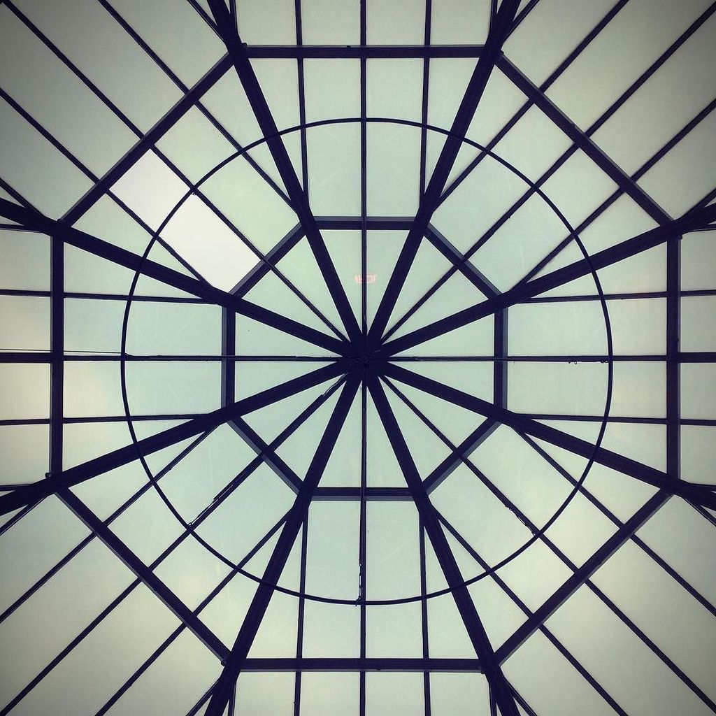 mynameisscott's tweet photo. Look up. https://t.co/TTbfj5duJw https://t.co/6sUYZaz0St