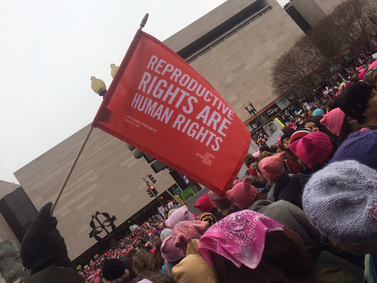 DrDorothyShaw's tweet photo. If you attack our reproductive rights, you will have to answer to us. #WomensMarch https://t.co/hBK325Q2kC" #notaflashinthepan