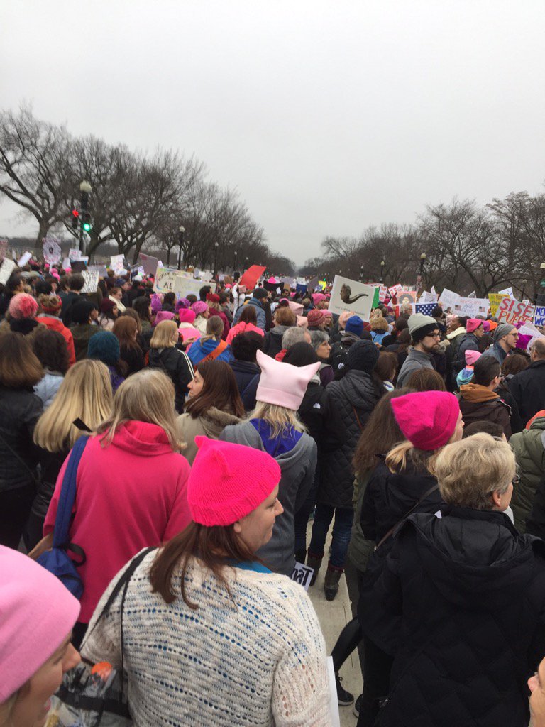 ScopesMonkeys's tweet image. #millionwomenmarch Washington DC. According to Reuters, we were indeed more than a million!