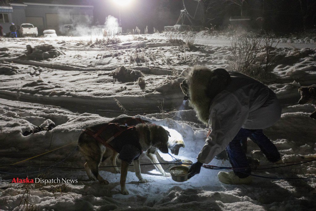 Jessie Holmes feeds his dogs at the Kalskag checkpoint during the
