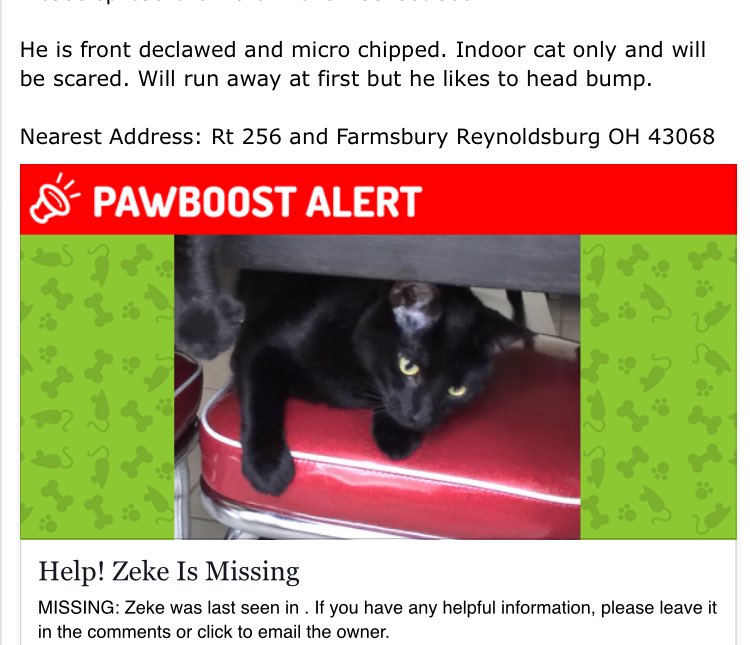 THDJoanneUrban's tweet photo. Please RT 😿Lost Cat in Reynoldsburg area https://t.co/fL8nVBXpYQ