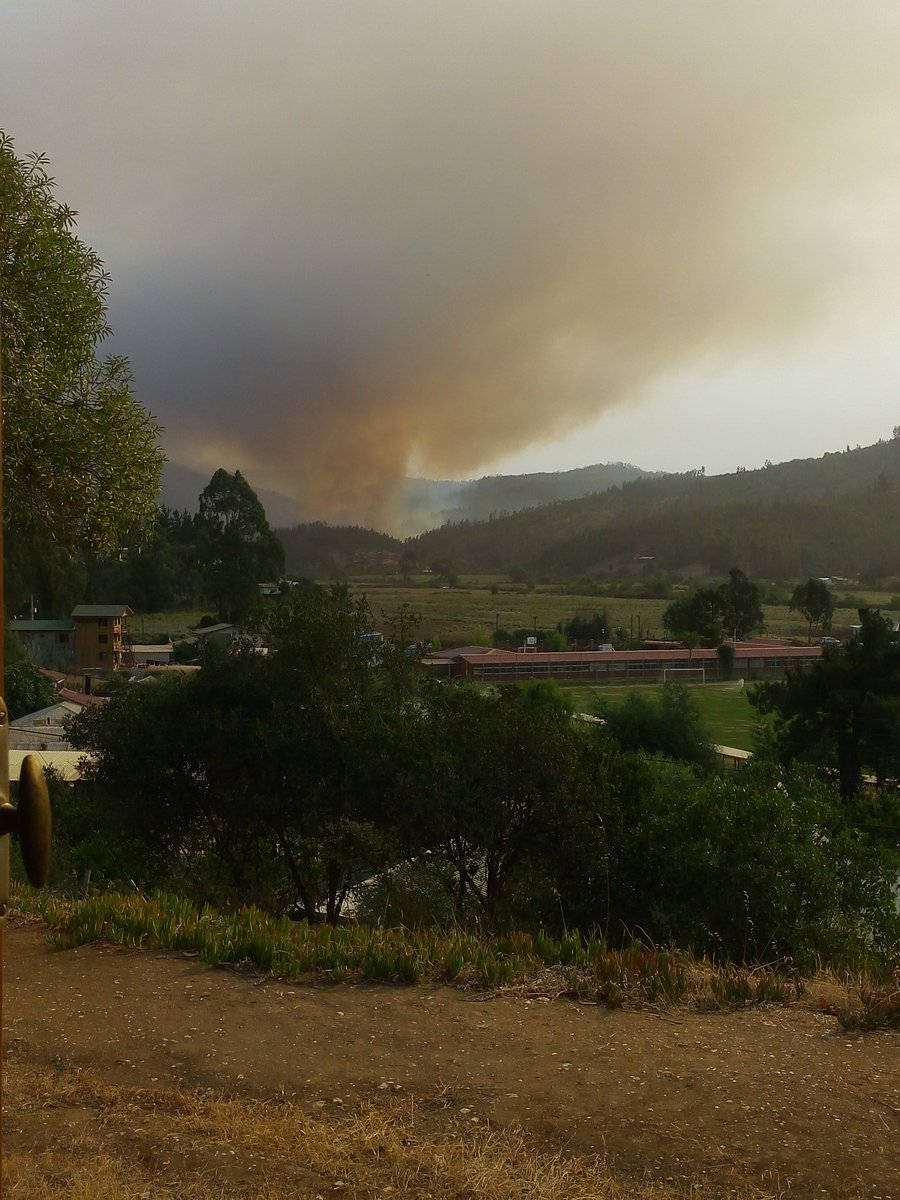 nicoleaysen's tweet image. Pobladores de Los Sauces, #Hualañé realizan #urgente llamado a autoridades por #incendiosforestales @TVN @biobio @T13 @Cooperativa @Mega