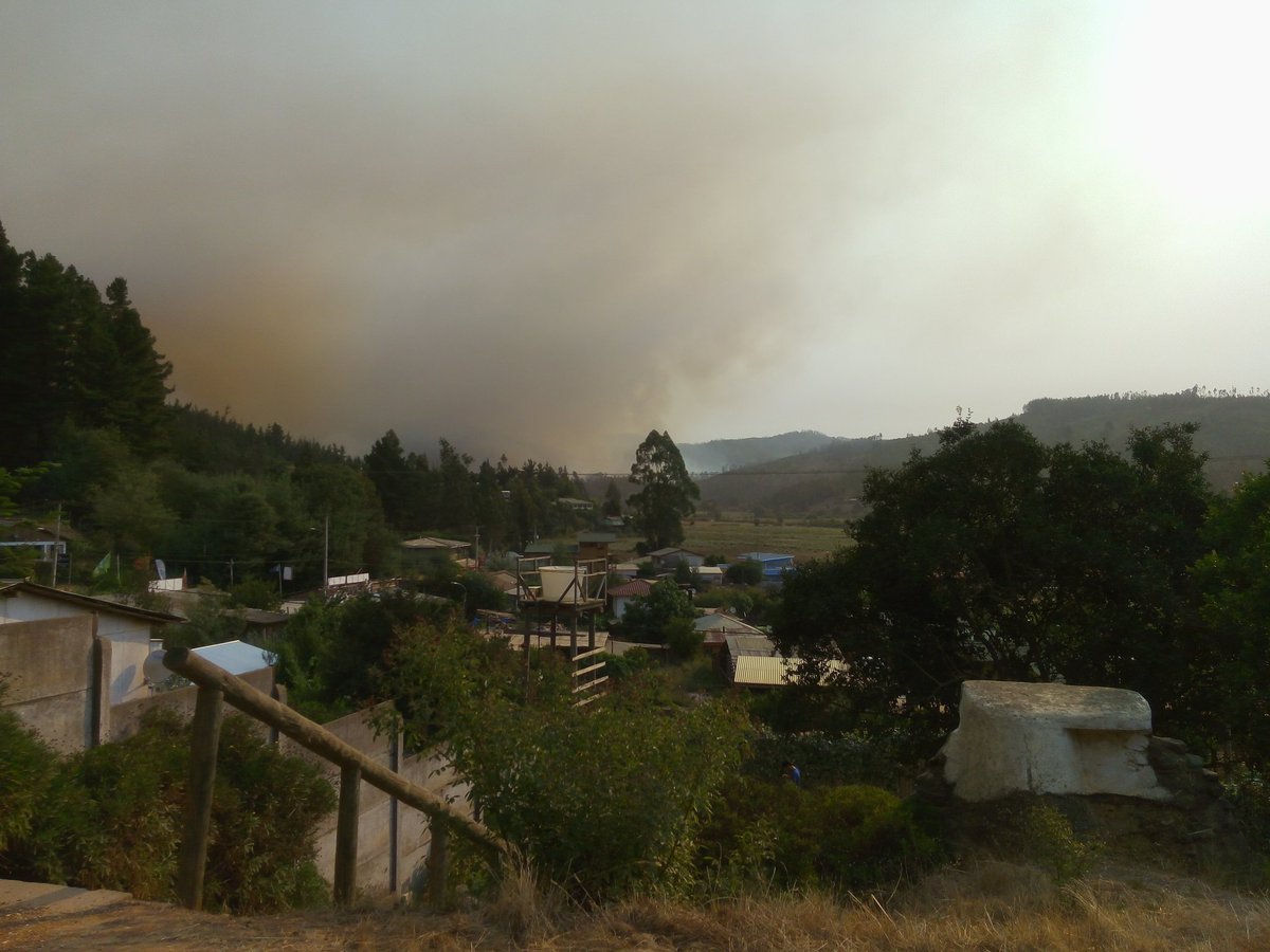 nicoleaysen's tweet image. Pobladores de Los Sauces, #Hualañé realizan #urgente llamado a autoridades por #incendiosforestales @TVN @biobio @T13 @Cooperativa @Mega