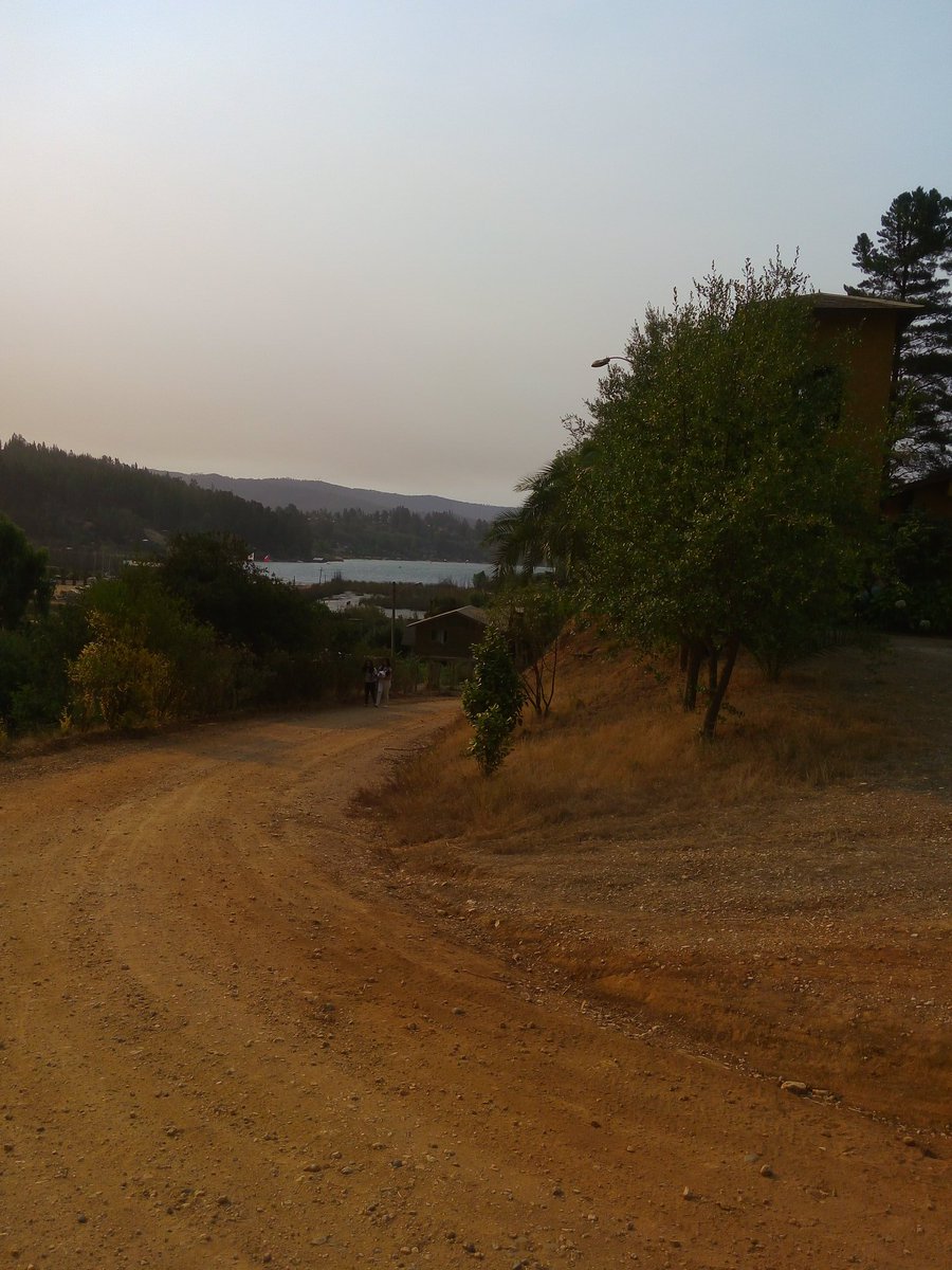 nicoleaysen's tweet image. Pobladores de Los Sauces, #Hualañé realizan #urgente llamado a autoridades por #incendiosforestales @TVN @biobio @T13 @Cooperativa @Mega