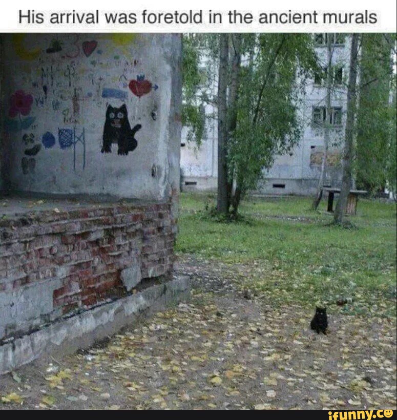 ZBurchard's tweet photo. #Thebest #dankmemes #ayelmao #iFunny https://t.co/jr3N99bKW2 https://t.co/n8jkXGwHlc