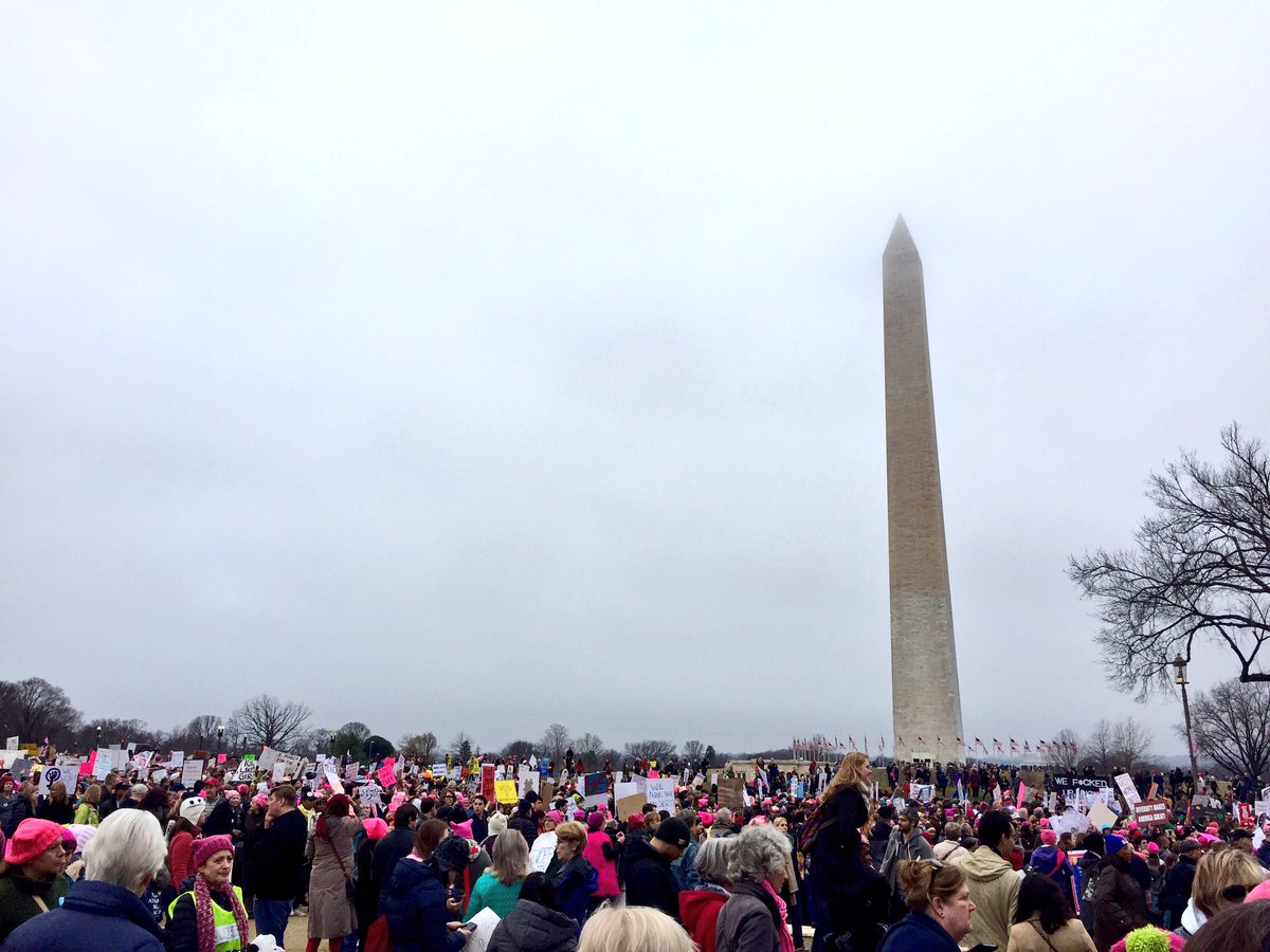 bre_vann's tweet photo. So much good energy and hope in DC today. #WomensMarch https://t.co/IYetHZ8IKv