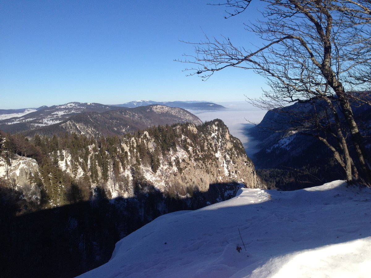 Schnabelgeiss tweet media