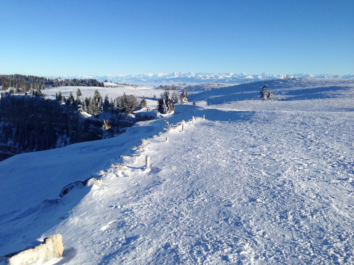 Schnabelgeiss tweet media