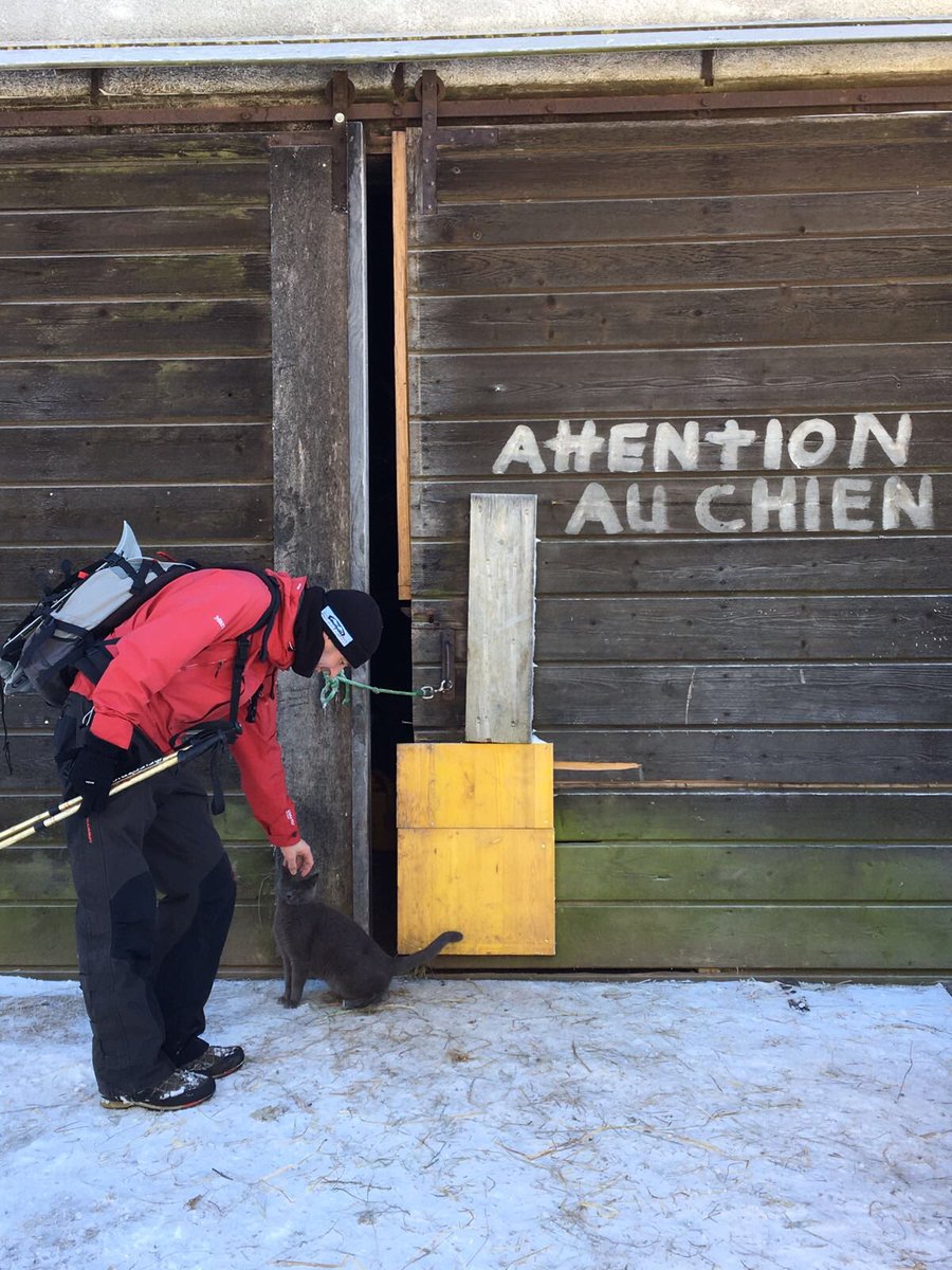 Schnabelgeiss tweet media