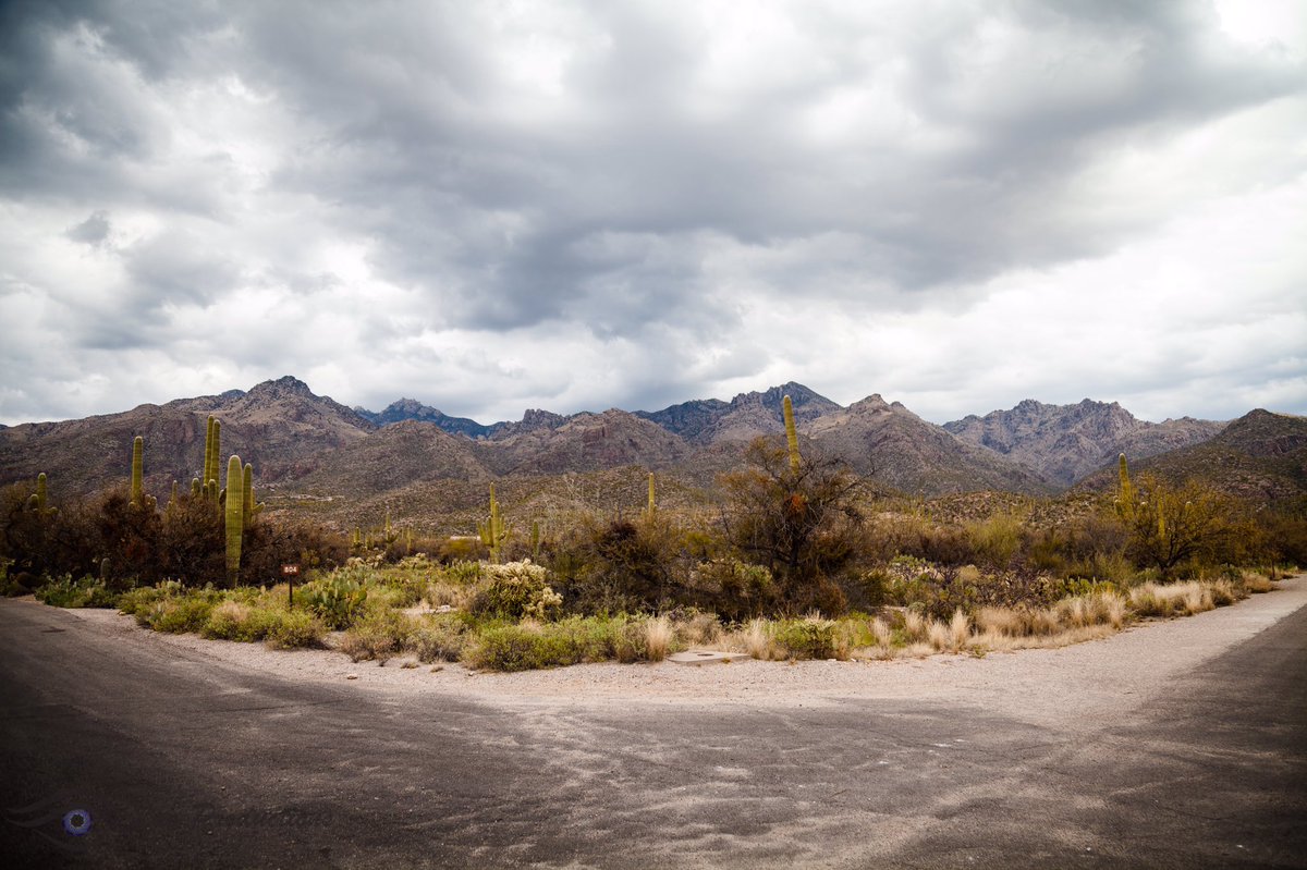LaoProductions's tweet photo. [ Split paths at Sabino Canyon, AZ ] #canon #outdoors #desert #laoproductions #photography https://t.co/k5pQ71Glyo