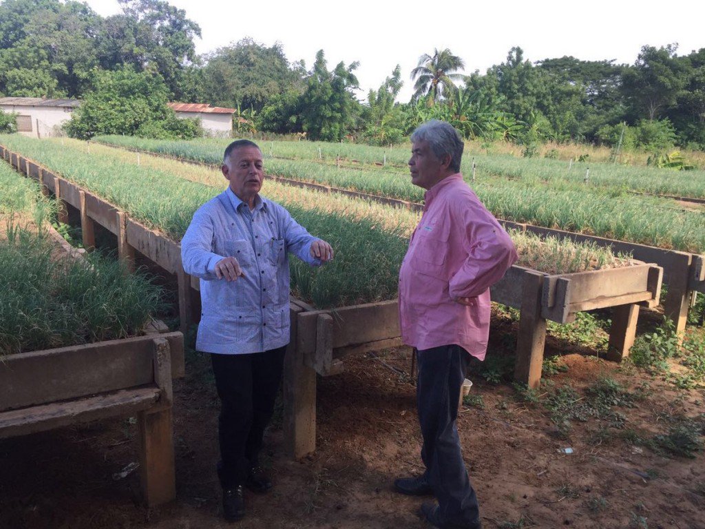 Arias entregará semillas de pasto a ganaderos de la COL para impulsar producción del s ... - asiesmizulia.com/arias-entregar…