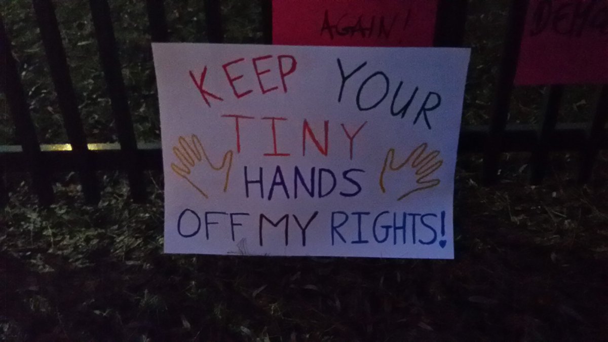 NancySueSmith's tweet photo. In Hamburg we marched to the US Consulate. #WomensMarch https://t.co/nsX7q7kHNI