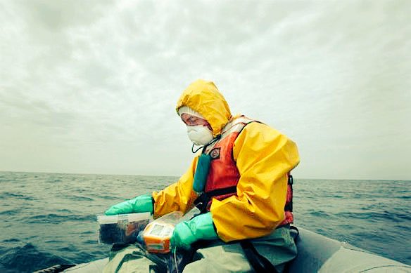 bcwilliams92's tweet photo. Cover-up Admitted
Radioactive Fish Off US West Coast
“Disturbing Fingerprint of Fukushima”

https://t.co/wauuZocBjW https://t.co/97kSyBffvI