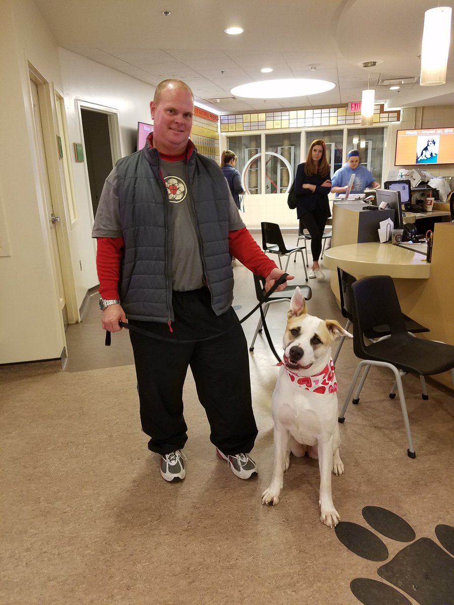 APAofMO's tweet photo. Luna has been adopted and is on her way home! https://t.co/vdfMBzErrT