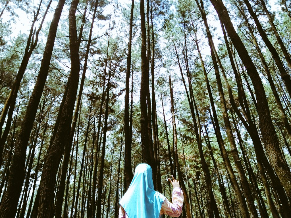 NuAna's tweet photo. Ga dukung paslon nomor dua, apalagi mau di duakan. Mau nya 'Kamu', iya dukung 'Kamu'. Eh #tweetisengaja #bukantweetGalau #gausahbaper https://t.co/SUBbFk8kem