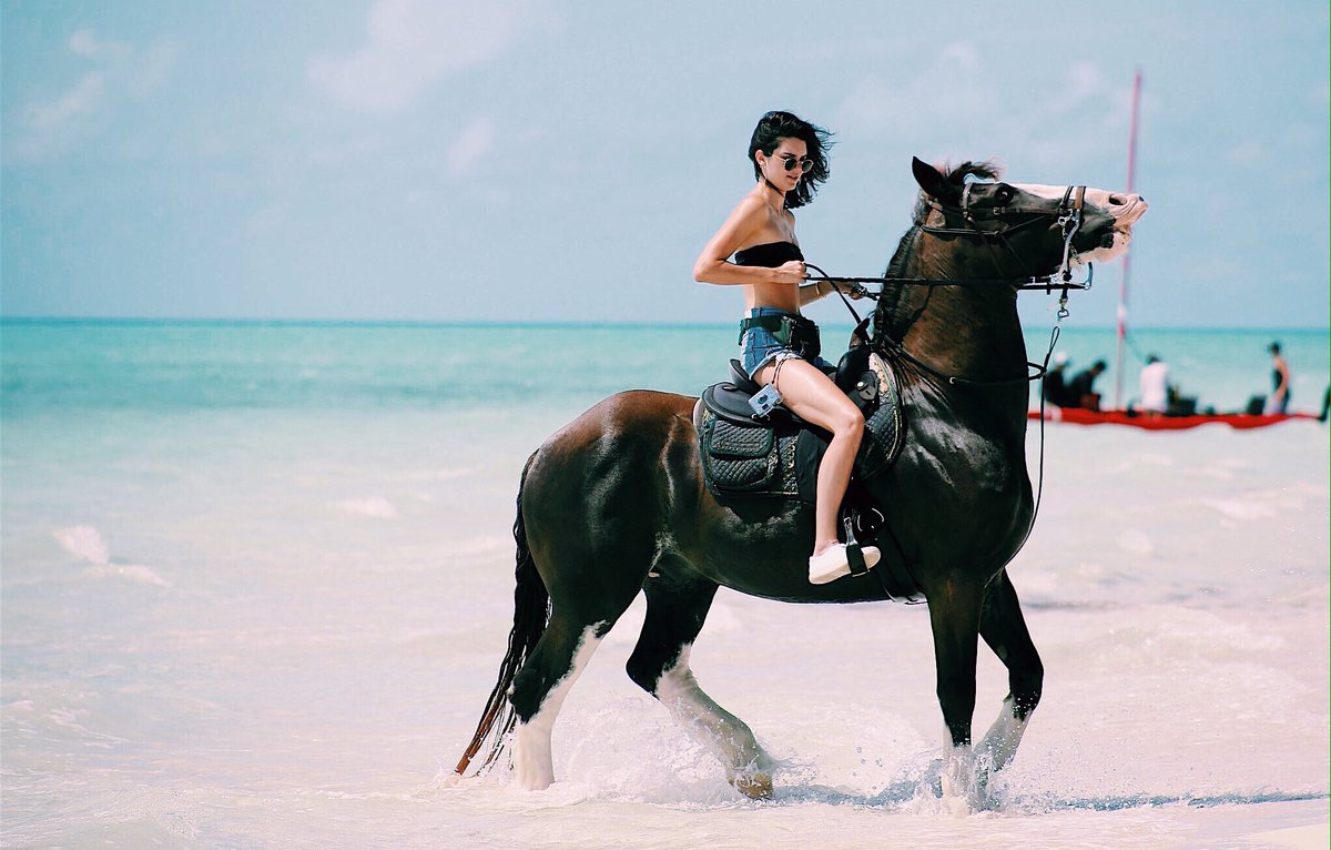 best kendall pics (@bestfkendall) on Twitter photo 