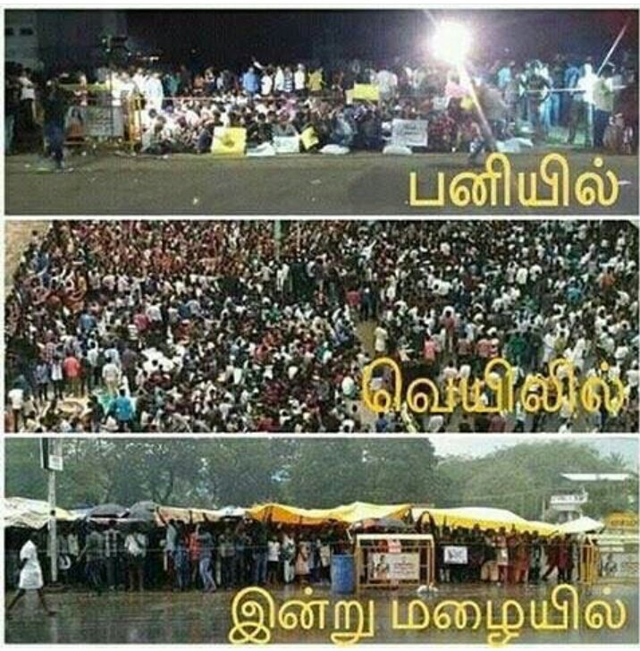 shankr007's tweet photo. Love in a stete 
Proud to be @tamilan https://t.co/OW7K8qG8fC
