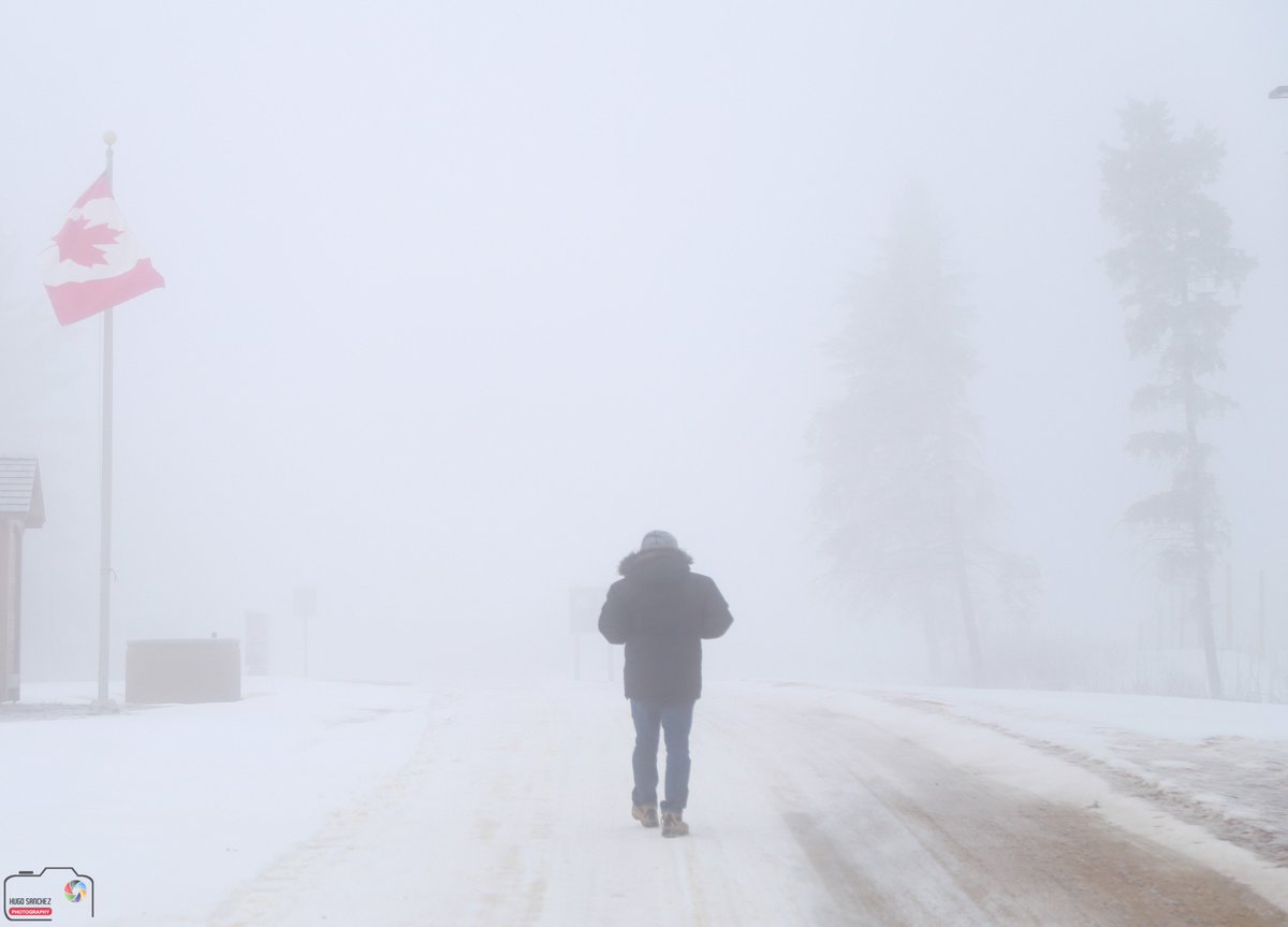 YEGHugo's tweet photo. #yeg #Canada150 #ExploreCanada #ExploreEdmonton #ExploreAlberta #countdown20 #ElkIslandNP #selfportrait #ParksCanada #foggyday #nature https://t.co/sHR1rwyHJl