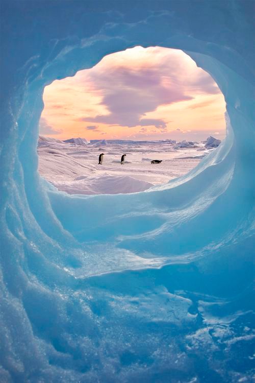 kenisgone's tweet image. Spicer releases the real photo from Obama&apos;s inauguration  #SpicerSpin