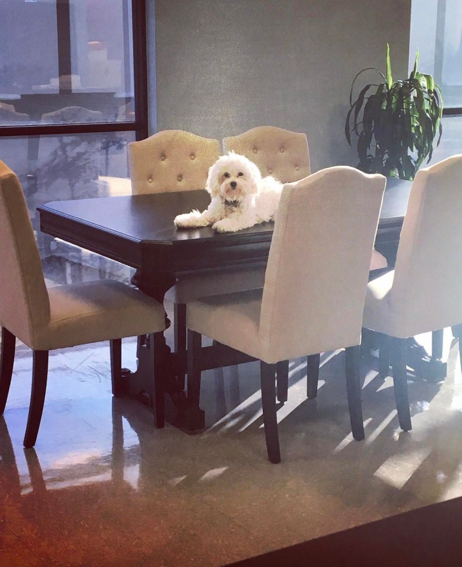 Lucy Hale tweet media