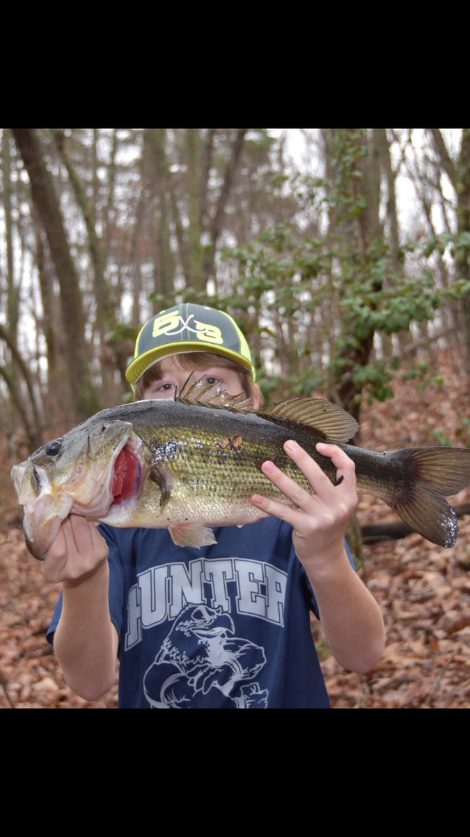 jeff shaw tweet media