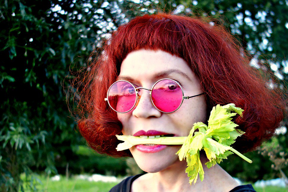 stutzmansgarden's tweet photo. For the average 2,000 calorie diet, you would have to consume 200 stalks of celery. Good luck with that! #resolvetogrow https://t.co/iKJGR6i9p6