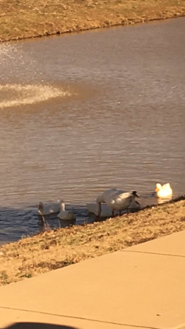 ran into the fam today