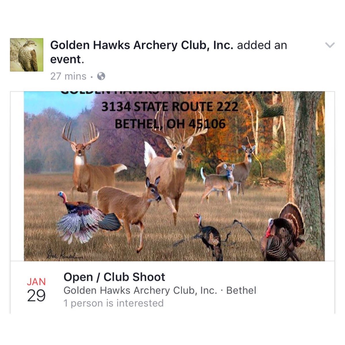 Broken Rack Archery Batavia Oh at Arthur Ritchie blog