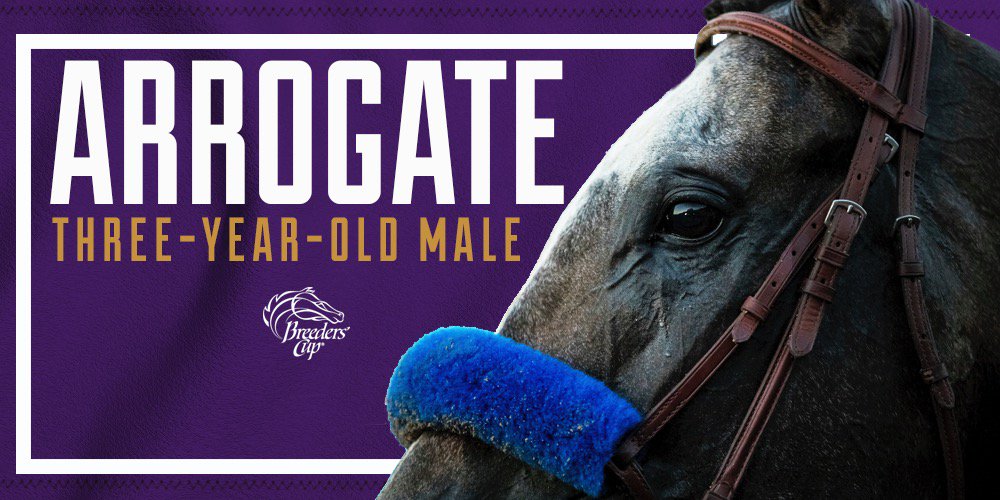 BreedersCup tweet picture