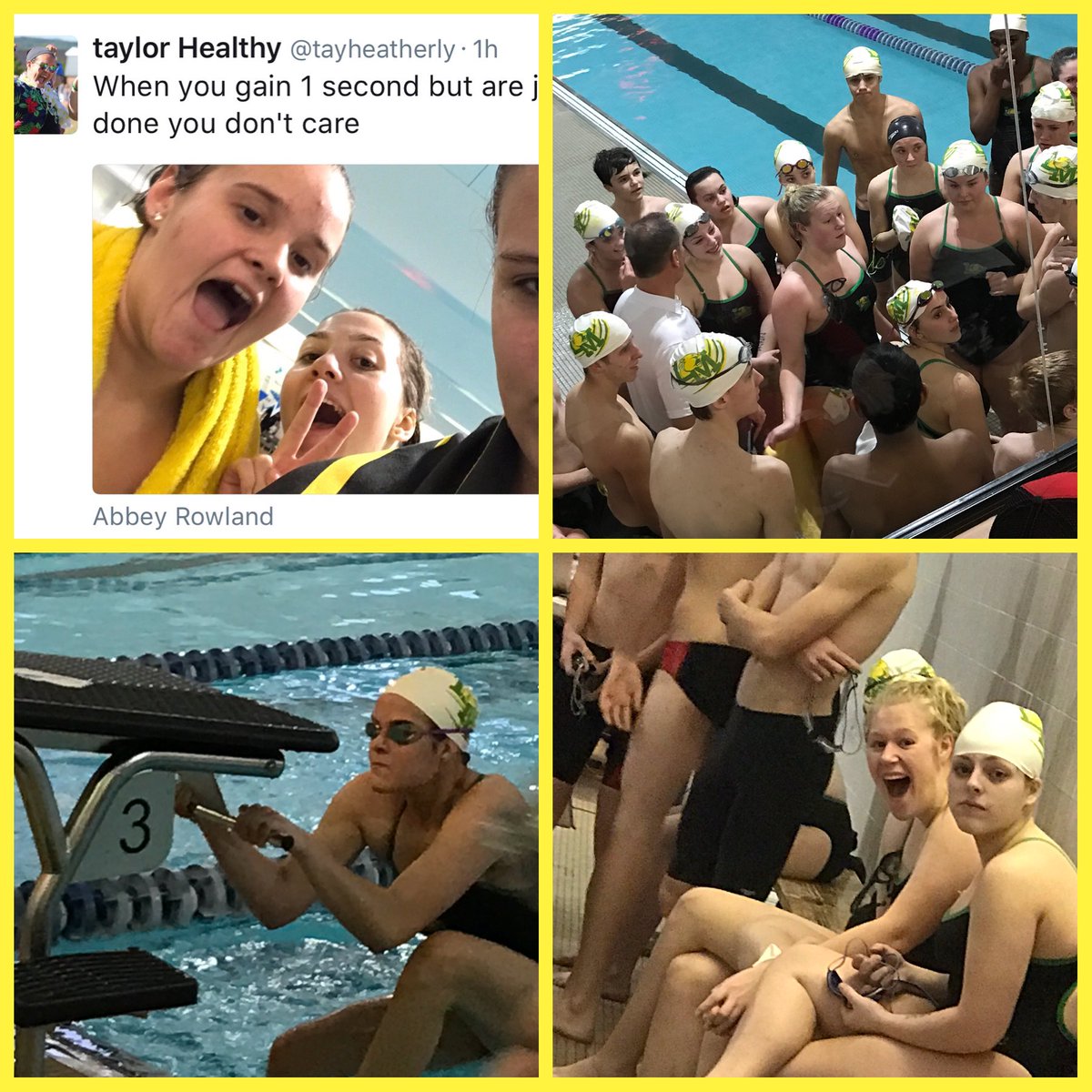 MomHeatherly's tweet photo. @LM_Swimming way to go "pool" panthers. Congratulations to the seniors https://t.co/wCpZyzxqXT