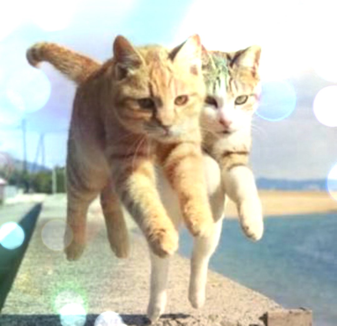 mtaro884's tweet image. シンクロデュエットロシア代表☆☆☆