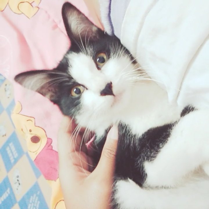 #NewProfilePic