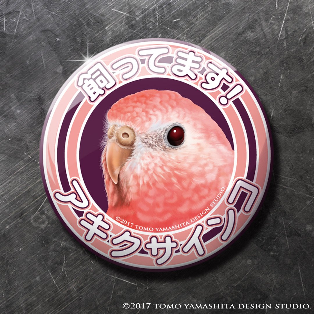 Tomoyamashita アキクサインコの飼ってます缶バッジできました ルチノー ルビノーのようなイメージ描きましたが アキクサ飼いのどうぞ皆様お手柔らかに 次はマメルリハいきます 掛川花鳥園のことり万博でお披露目出来る様にします O
