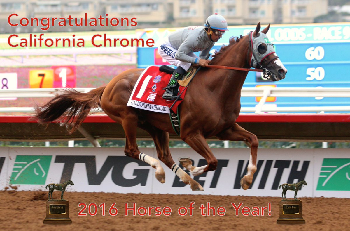 ABRLive's tweet photo. And your 2016 #HorseOfTheYear is: California Chrome! #EclipseAwards https://t.co/uZUgZbME0L