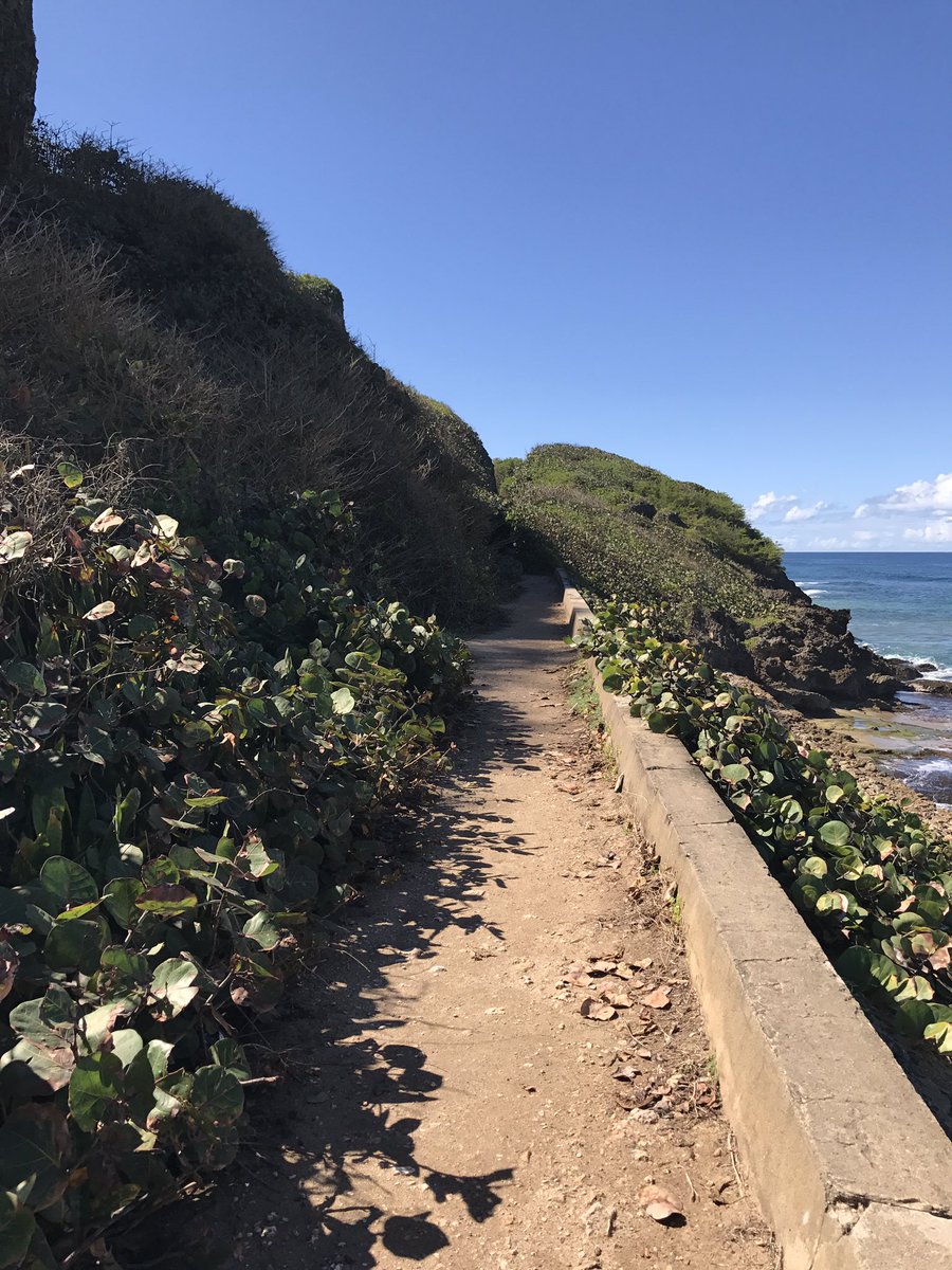 El puente de Guajataca,<a href="/PuertoRicoPUR/">Puerto Rico 🇵🇷</a> @prfuntours <a href="/lgbtpr/">LGBT+ Puerto Rico</a>