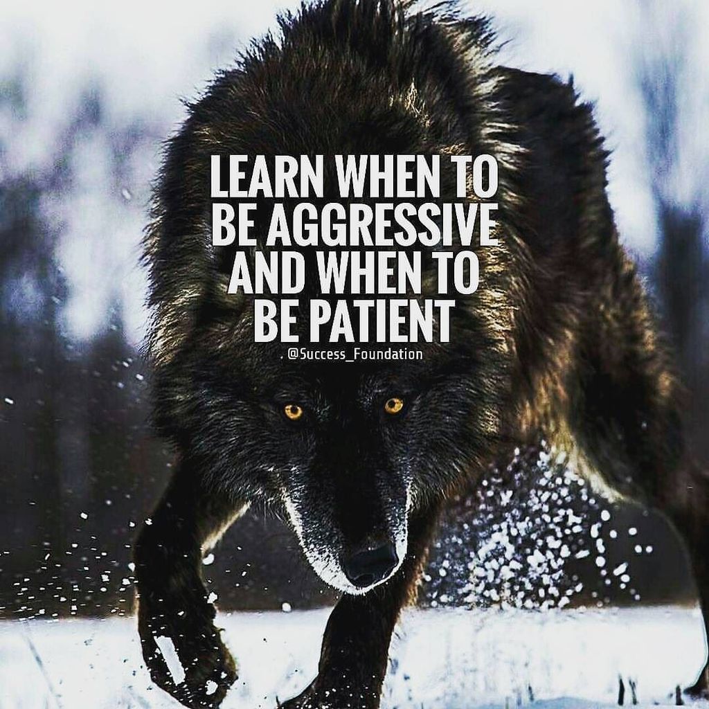 MFDigiMar's tweet image. A little inspiration goes a long way!