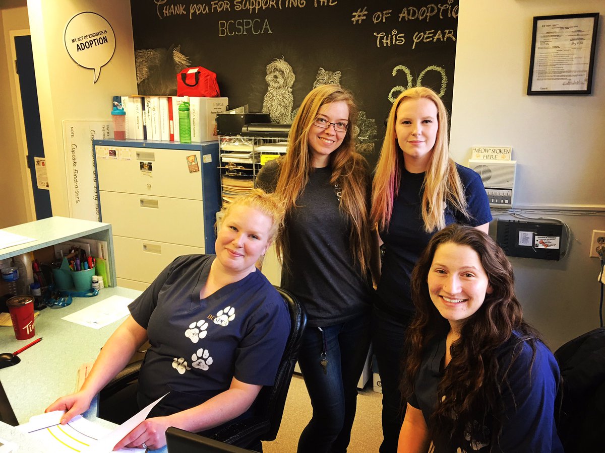 HellYeahPG's tweet photo. Hell Yeah to the #cityofpg SPCA team for being absolutely awesome. Keep up the great work!! #takeonpg #hellyeahpg #HYPG https://t.co/ROHIici6wO