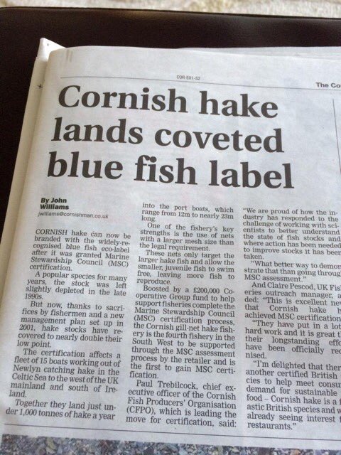 NewlynFishing tweet media