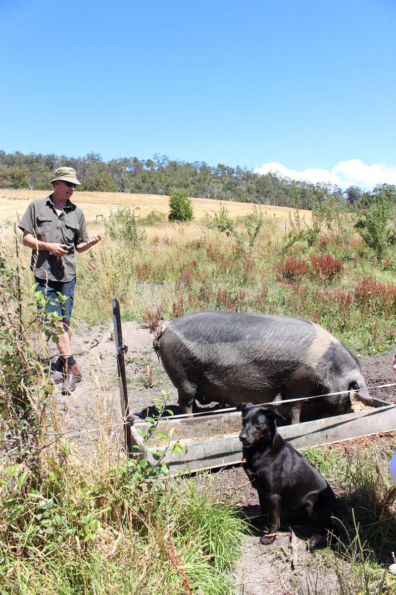 HirokoKClayton's tweet photo. Amazing experience at Matthew Evans' #FatPigFarm. Great real food!
テレビシリーズ #GourmetFarmer で知られるマシュー・エバンズ氏の農場。#タスマニア の風に吹かれていただくその土地の味。格別です！ https://t.co/c9dhqqTlwC