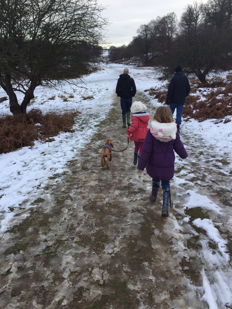 SevenoaksMums's tweet photo. Check out ideas for local family walks - perfect for today's weather! https://t.co/IuPkFK4UP3 #Sevenoaks #iamasevenoaksmum #winterwalks https://t.co/4lbXpIbHQb