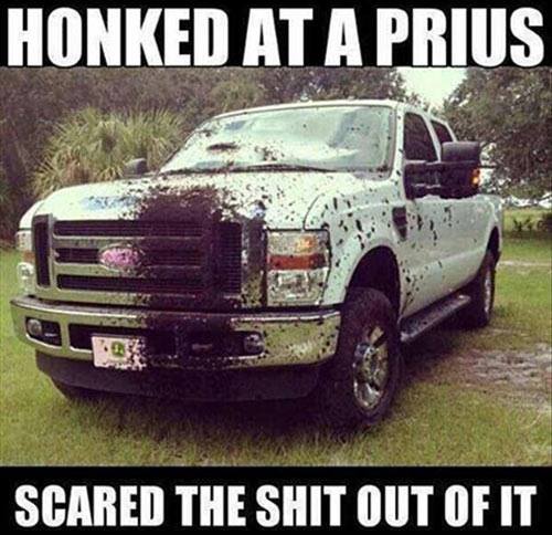 GeorgiaPatriot's tweet photo. #funnyfun https://t.co/QiXeR5MrT4