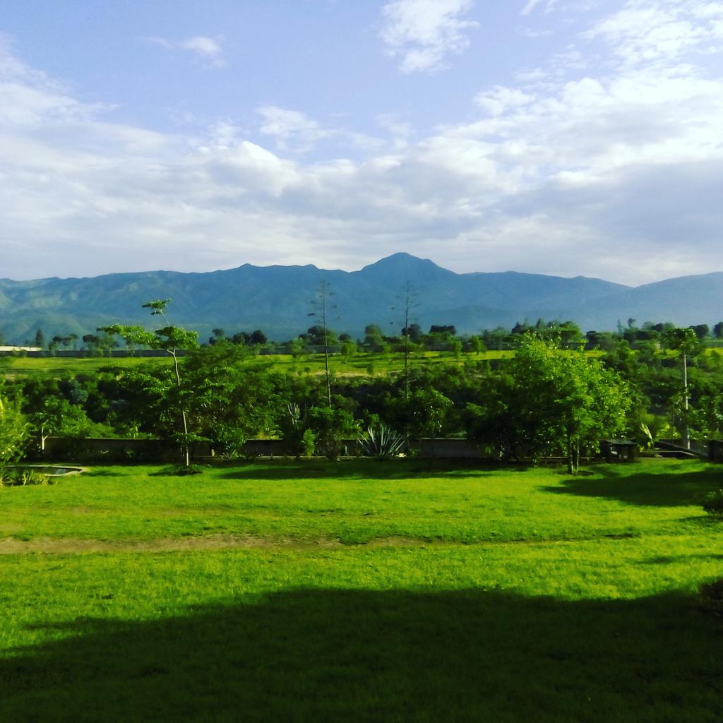 drRachelKing's tweet photo. #finallygreen #mbeya #Tanzania #beautiful #2017 https://t.co/N8O9DXtTQI