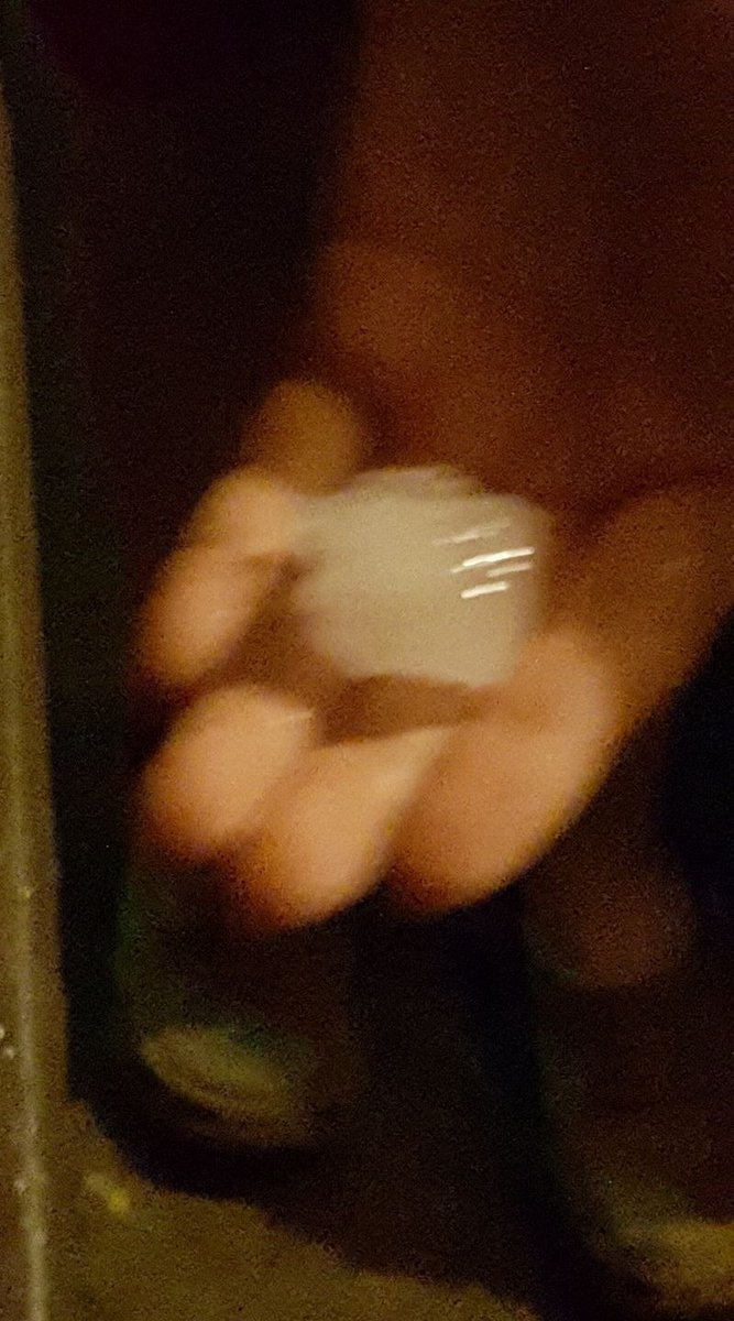 WXgirlKerri's tweet photo. Large hail photographed in #Warterloo! #IrwinCounty @irwinsheriff @NWSTallahassee @WFXL #gawx https://t.co/CR9hFO493D