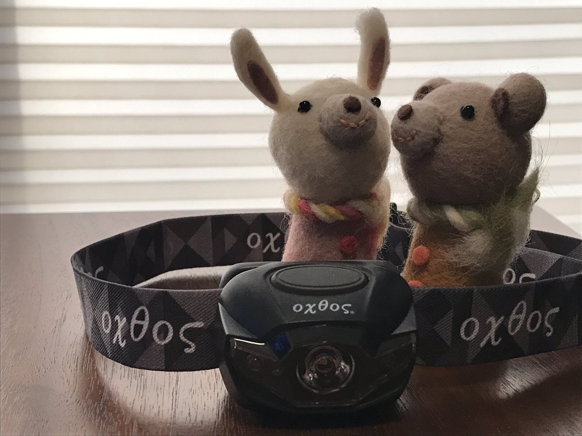 outdoor_puppet's tweet photo. オクトスのヘッドランプ
明るさは抑え気味の90ルーメンみたい
でも、43時間の低燃費が魅力です
頭や首に掛けられて
キャンプや登山で使えるのはもちろん
耳掻きでもお世話になってます
#oxtos #オクトス https://t.co/P2RPK6DUqw