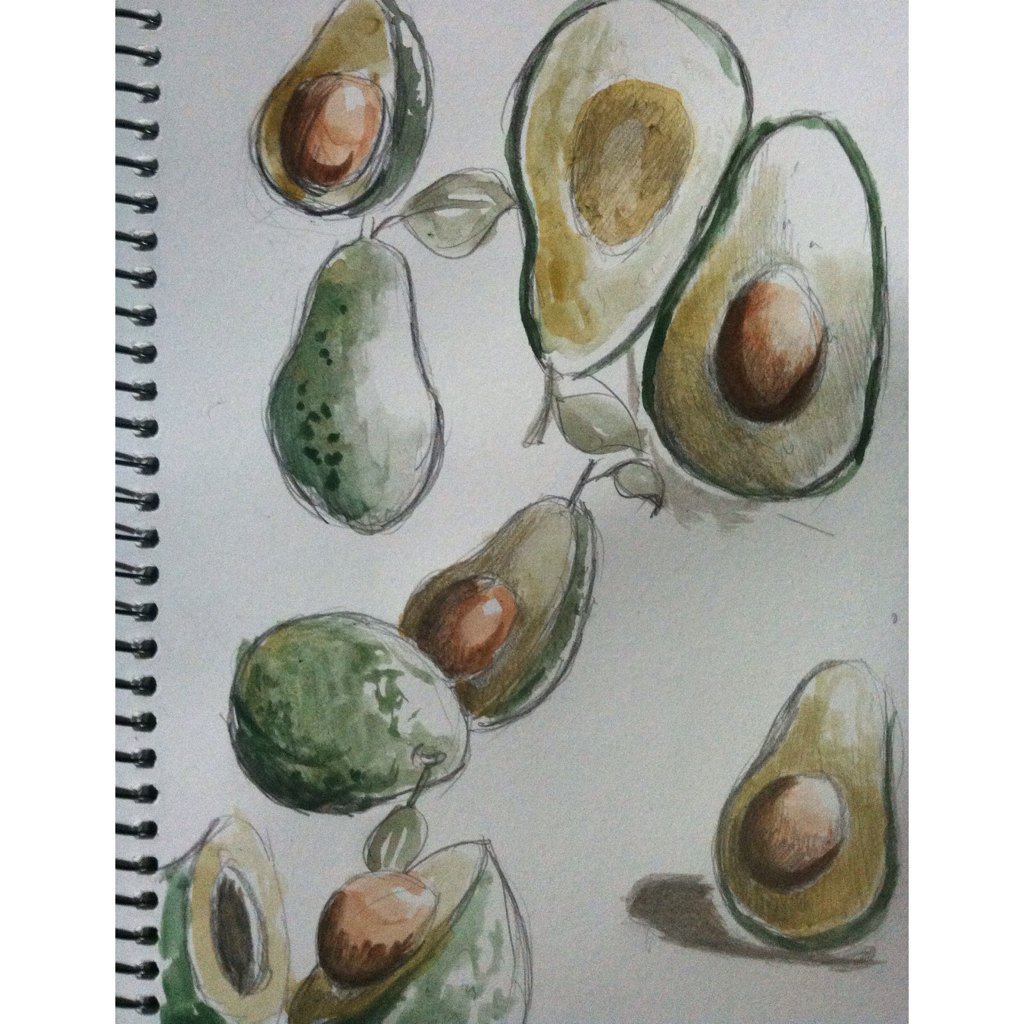 #art #watercolor #illustration #painting #drawing #artist #style #illustrator #botanicalillustration