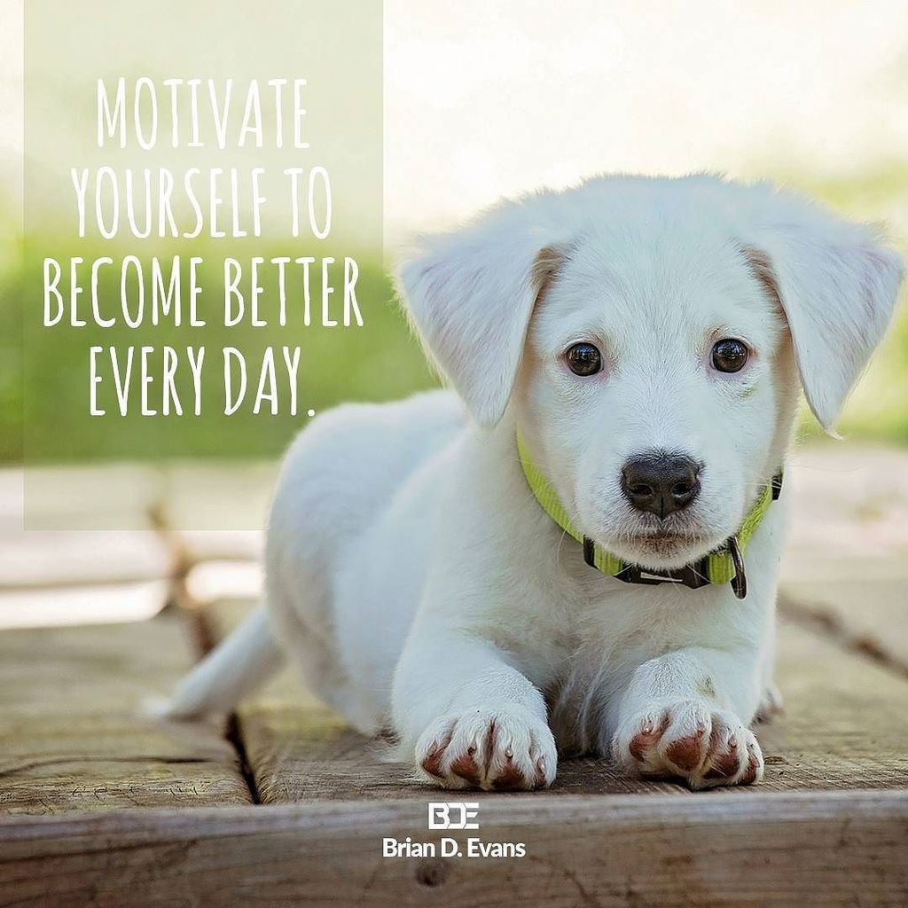 BrianDEvans's tweet image. Like and share if you agree! #inspiration