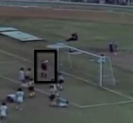 🇸 🇪 🇱 🇮 🇲 Ⓒ 🦅 tweet media