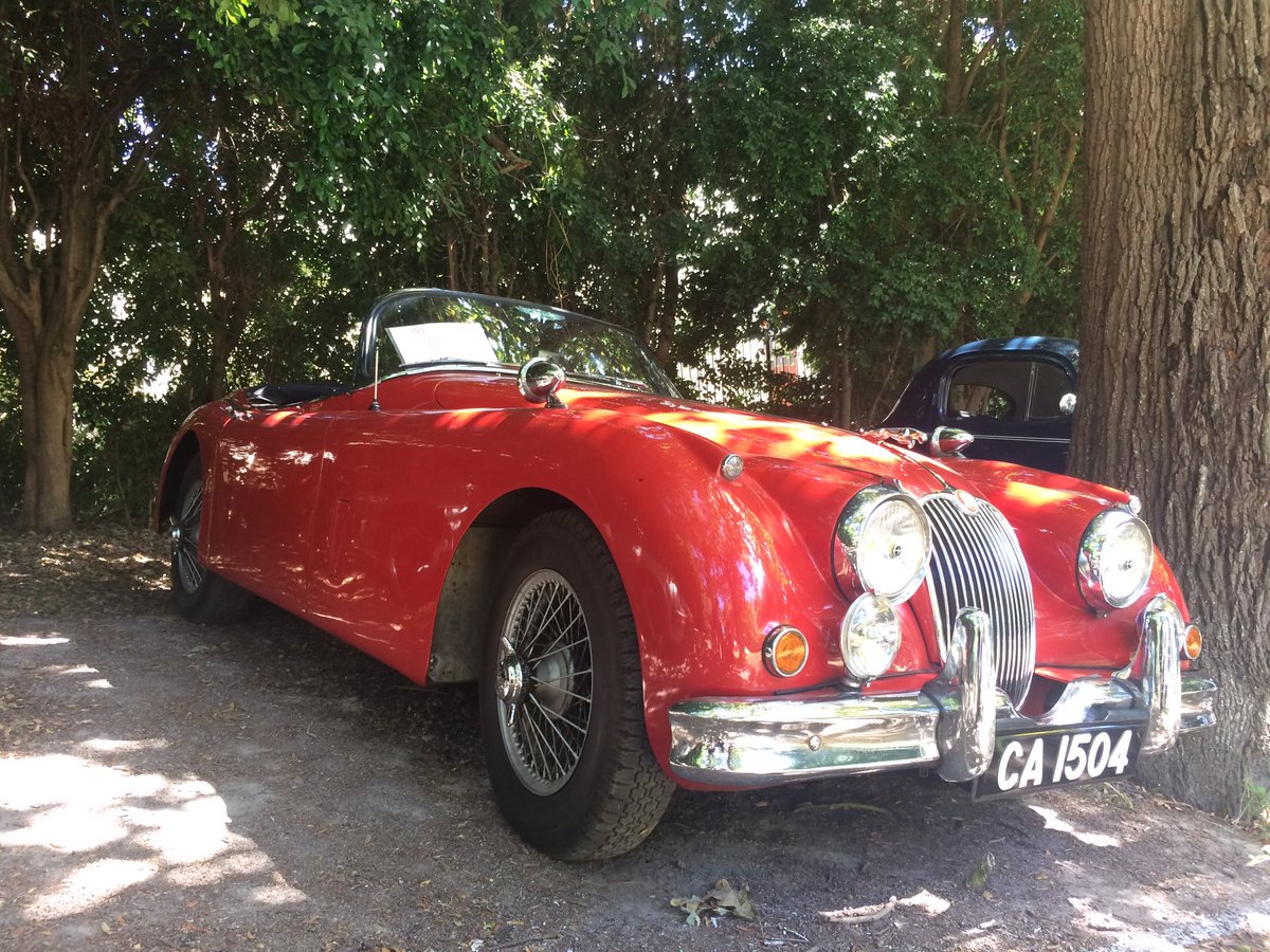 HannalieLo's tweet photo. #Jaguar #TimourHall #ClassicCarShow #beauty https://t.co/8FsH2HMz8E